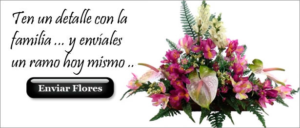 Envia un Centro con anthuriums a la familia del difunto