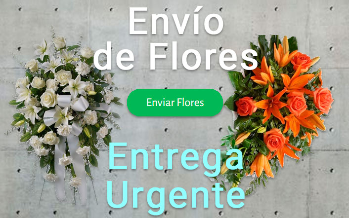 Envio de flores urgente a Tanatorio Barcelona